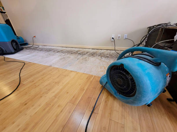 Professional Basement Flood Cleanup technician working in Rye, TX